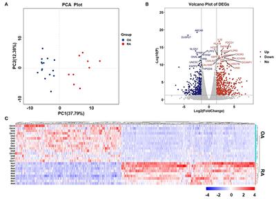 RNA-seq and Network Analysis Reveal Unique Chemokine Activity Signatures in the Synovial Tissue of Patients With Rheumatoid Arthritis